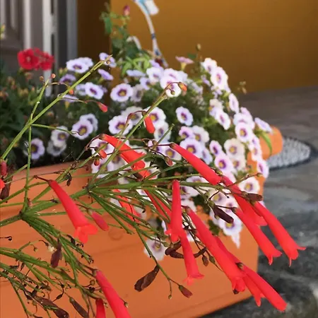 セント アルテミオス アンド オリエンタル スイーツ ゲストハウス Rhodes City